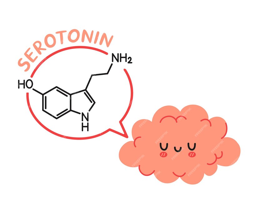 Formula de la Serotonina y un dibujo de un cerebro