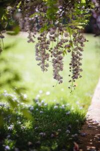 Metafora del jardin. autocuidado emocional